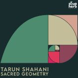 Artwork for "Sacred Geometry"