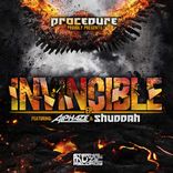 Artwork for "Invincible"