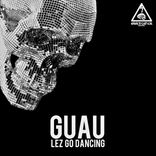 Artwork voor "Lez Go Dancing"
