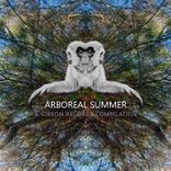 Waves of Conceptualization