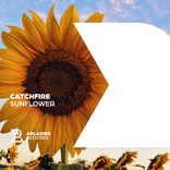 Artwork for "Sunflower"