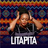 Portada para "Litapita"