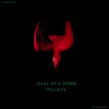 Level Down