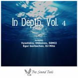 Artwork for "In Depth, Vol. 4"