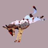 Artwork for "Providence"