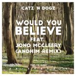 Artwork for "Would You Believe (andhim Remix)"
