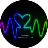 Artwork voor "No Love No Life"