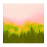 Artwork für "Sorrow"