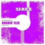 Artwork voor "Burnin' Flex"