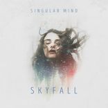 Artwork for "Skyfall"