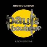 Artwork voor "Jungle Groove"