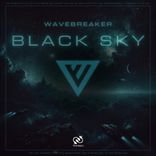 Artwork for "Black Sky"
