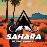 Artwork for "Sahara"