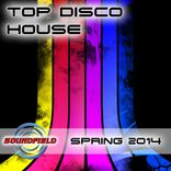 Artwork voor "Top Disco House Spring 2014"