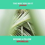 Artwork for "Seychelles"