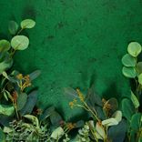 Artwork for "Green Noise Relaxation"