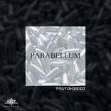 Artwork for "Parabellum"