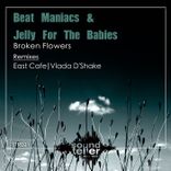 Artwork for "Broken Flowers"