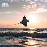 Portada para "Una Chica"