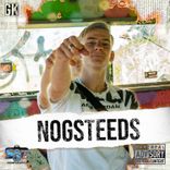 Portada para "Nogsteeds"