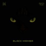 Artwork for "Black Mamba"