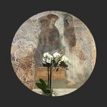 Artwork for "Lacum Missus Sum"