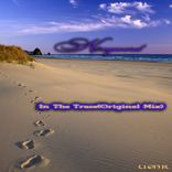 Artwork for "In The Trace"