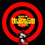 No One Can Understand