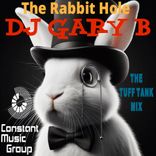 Portada para "The Rabbit Hole"