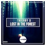 Lost In The Forest