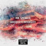 Artwork for "Adequate Intensity"