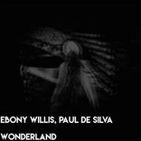 Artwork voor "Wonderland"