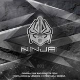 Artwork for "Ninja Bizness"