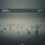 Artwork for "James"