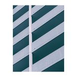 Artwork for "Hamamatsu Memory"