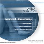 Artwork for "Secret Journey"