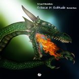 Artwork voor "Solace in Solitude (Mortisha Remix)"