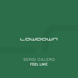 Artwork for "Feel Like"