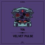 Artwork for "Velvet Pulse"