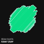 Artwork for "Funky Stuff"
