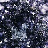 Artwork voor "Purple"