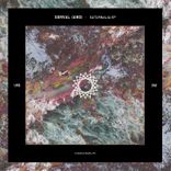 Portada para "Saturnalia"