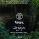 Portada para "Cenotes"