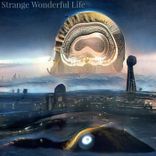 Artwork for "Strange Wonderful Life"