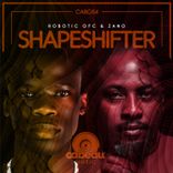 Artwork for "Shapeshifter"
