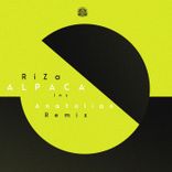 Artwork for "Alpaca"