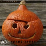 Artwork for "Funky Jamin"