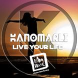 Artwork voor "Live Your Life"
