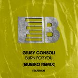 Artwork for "Burn for You"
