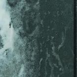 Artwork voor "Shifting Cells VA"